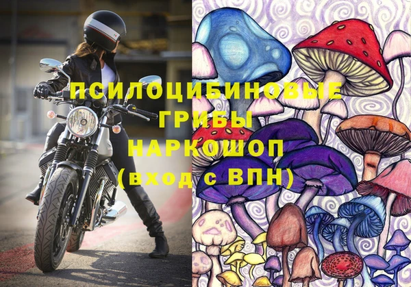 амф Абдулино