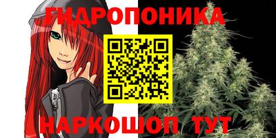 мяу мяу мука Заводоуковск