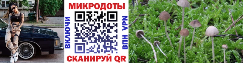Псилоцибиновые грибы GOLDEN TEACHER  blacksprut tor  Назрань 