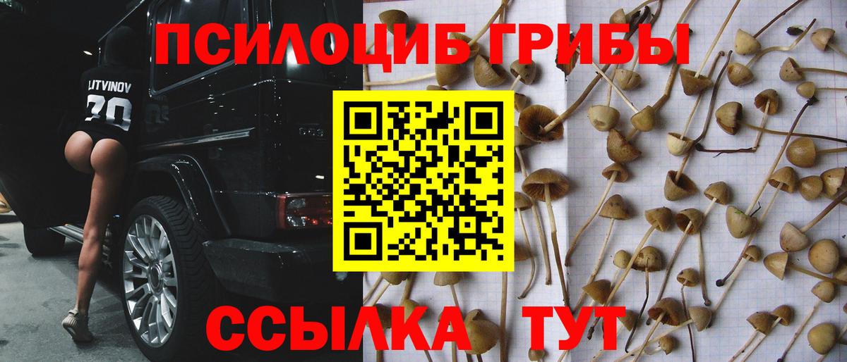 Назрань  где найти   Вход с VPN  Галлюциногенные грибы ЛСД 