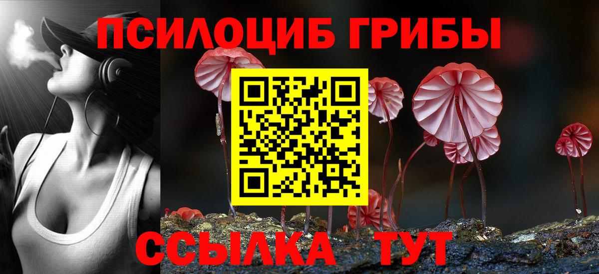 Галлюциногенные грибы Psilocybine cubensis Назрань
